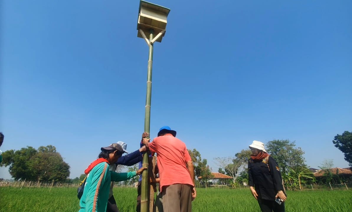 Pemasangan Rumah Burung Hantu