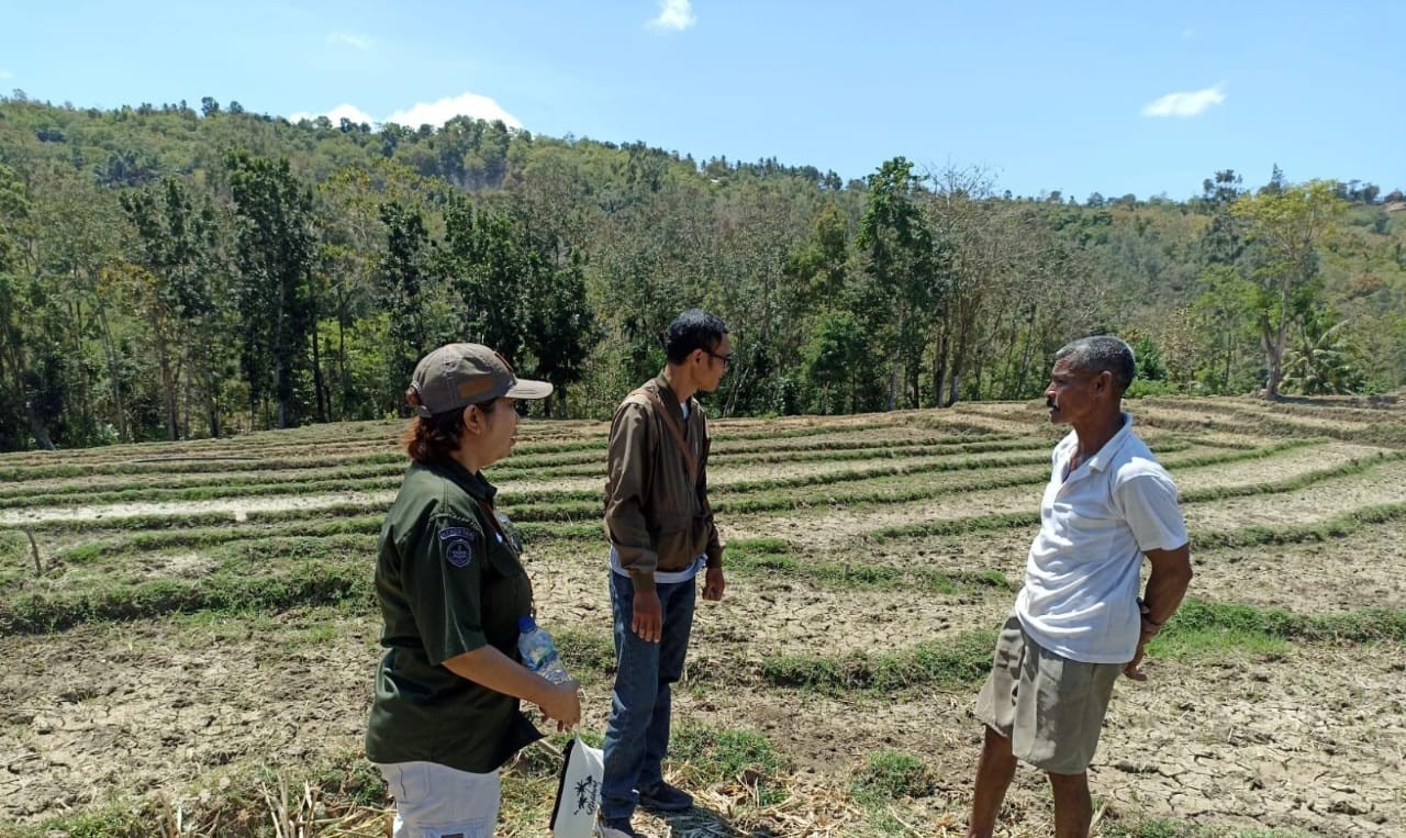 Kabag Umum BBPP Kupang sedang melakukan monitoring Lahan PAT di Kelurahan Kolhua