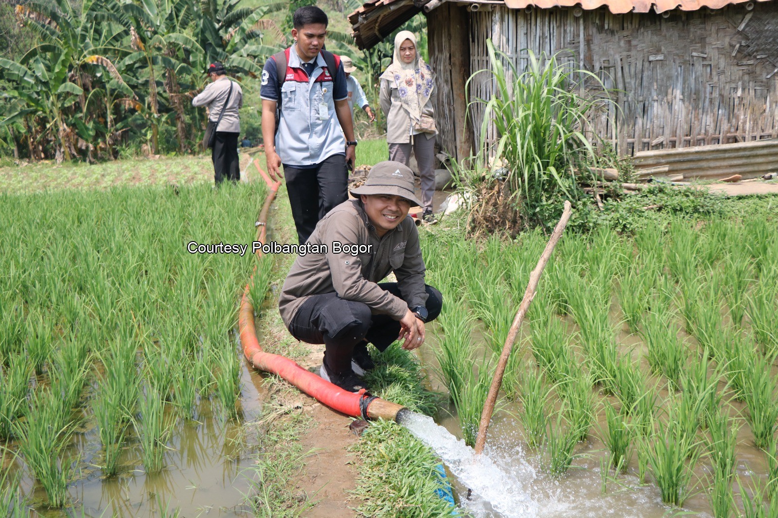 Direktur Polbangtan Bogor monitoring pompanisasi di Cariu