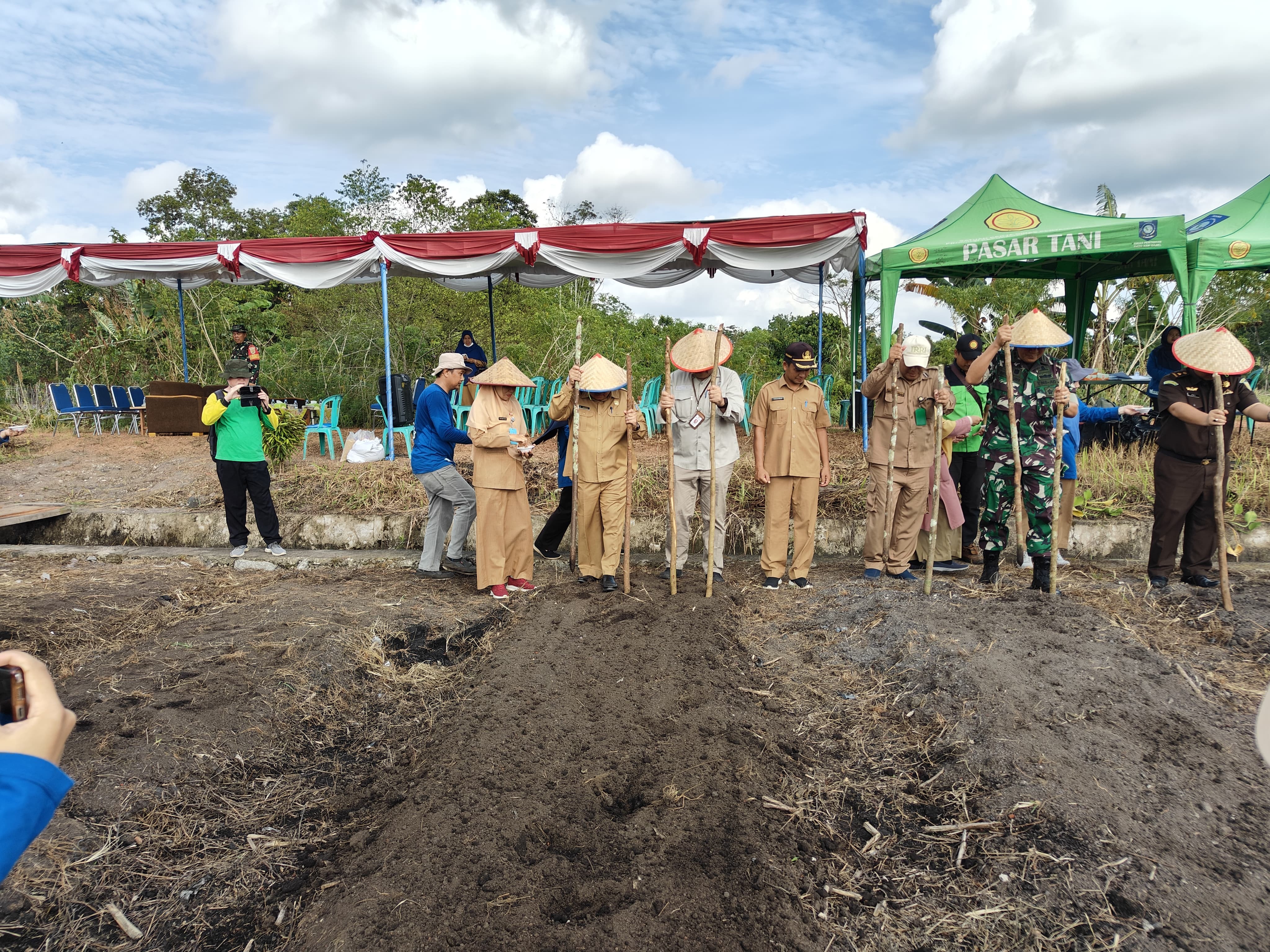 penanaman padi gogo di Kabupaten Bangka Tengah