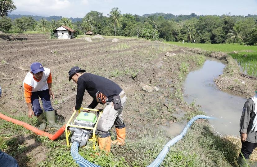 Kekeringan petani