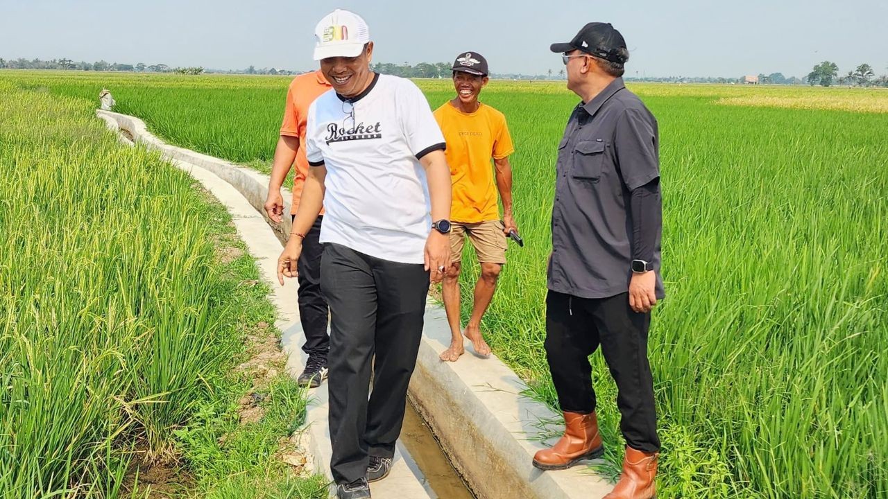 Plt. Dirjen Perkebunan meninjau pemanfaatan irpom