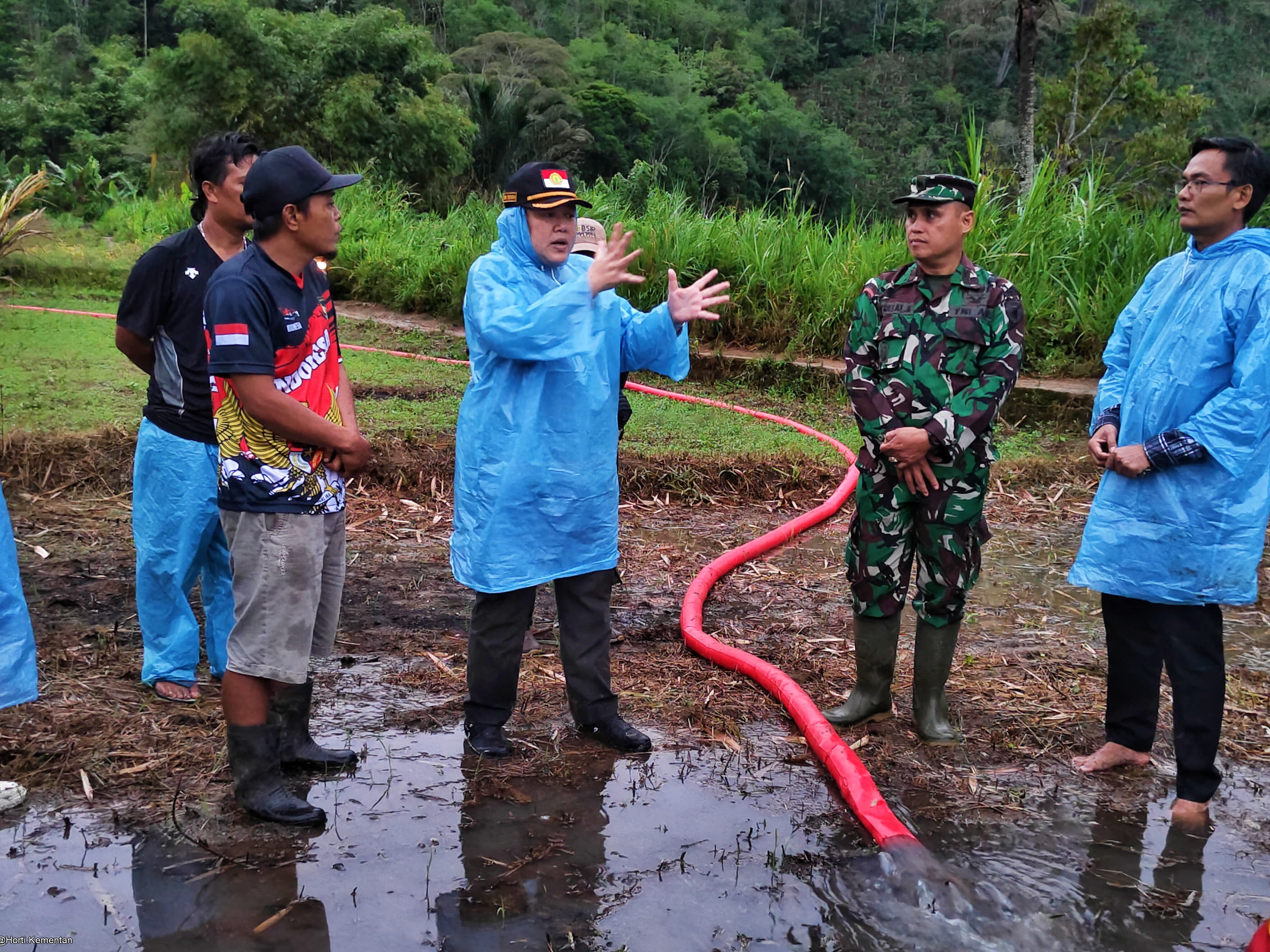 Direktur Perbenihan Hortikultura, Inti Pertiwi Nashwari memantau pompanisasi di Kabupaten Bengkulu