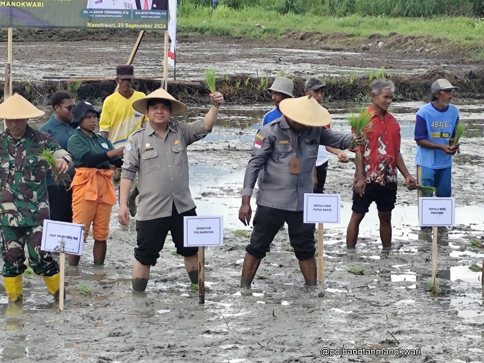 Direktur dan stakeholder tanam padi bersama