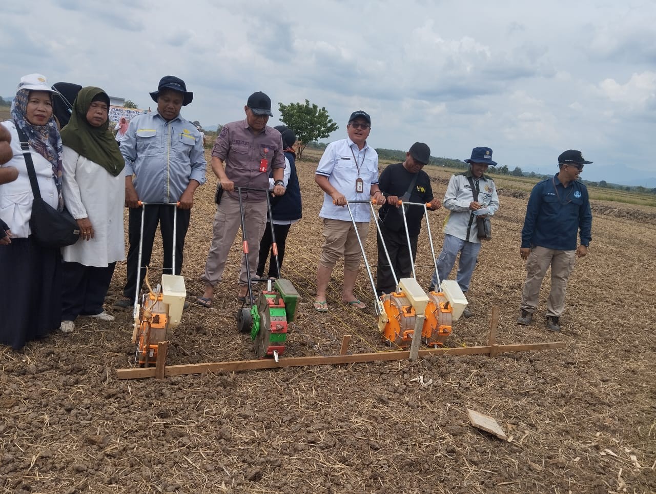 TANAM PADI SERENTAK di Tanah Laut