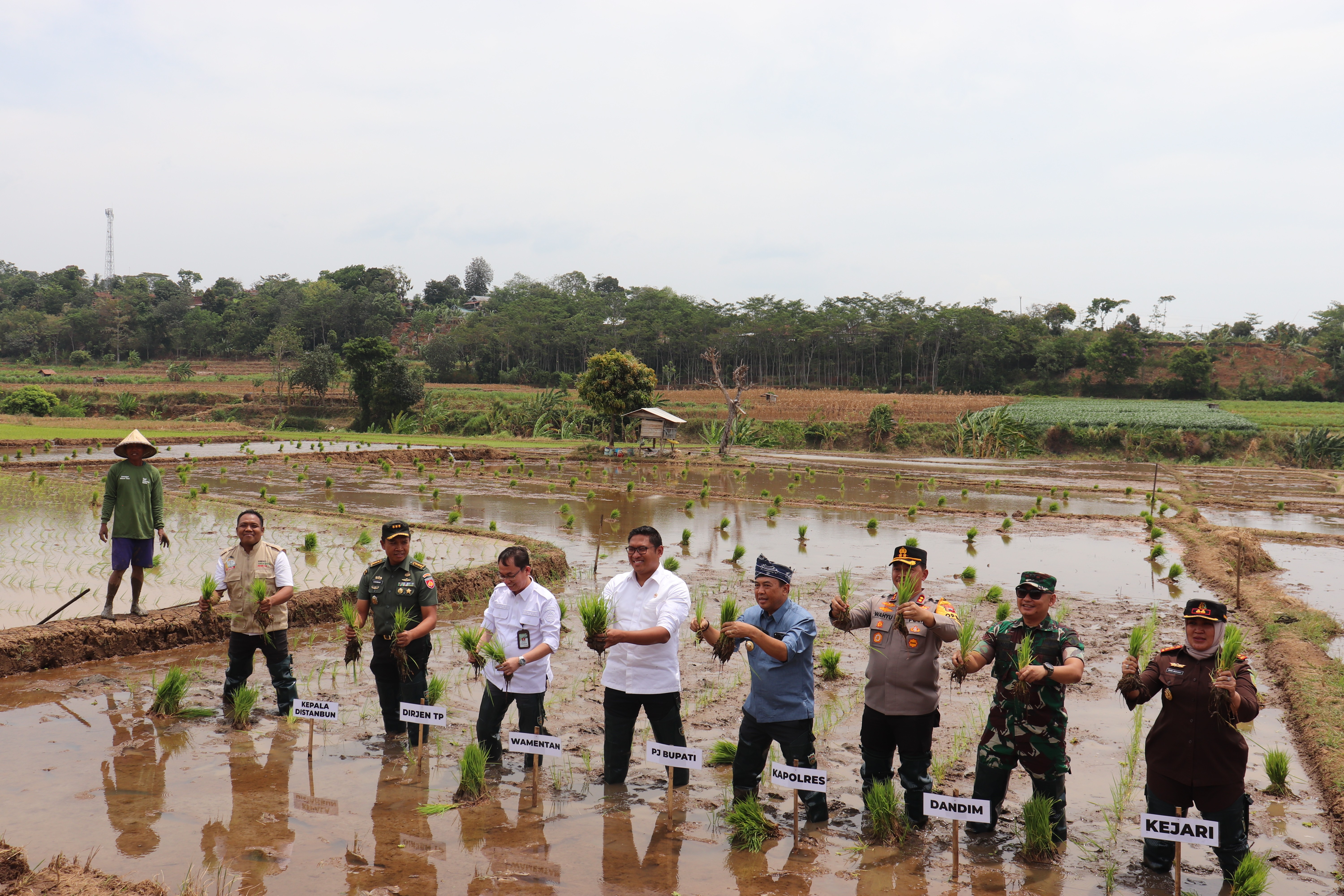 Wamentan Jepara