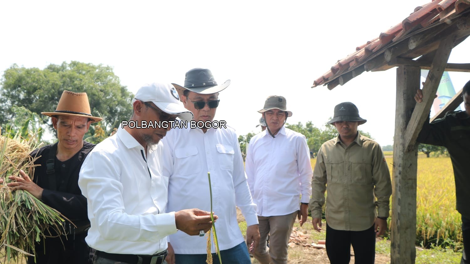 Wujudkan Pertanian Modern, Staf Khusus Mentan Lakukan Peninjauan Di Indramayu