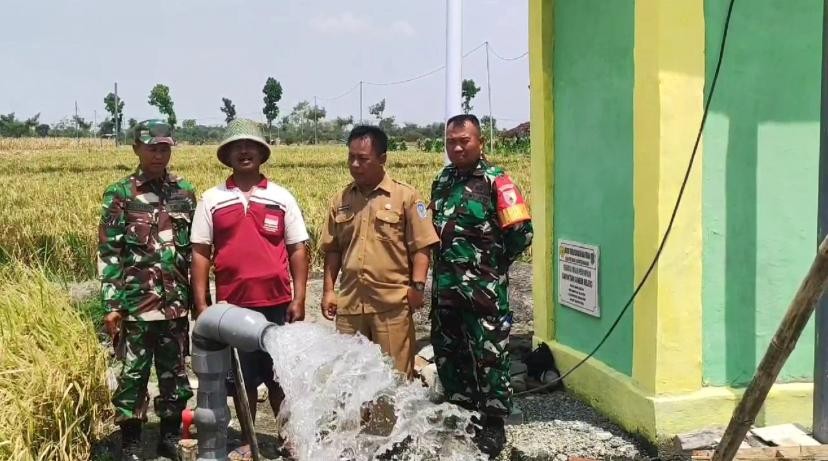 Petani Nganjuk Percepat Tanam Hingga Tiga Kali Setahun