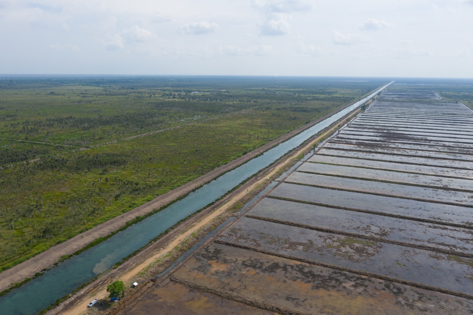 Program Cetak Sawah untuk Perkuat Ketahanan Pangan